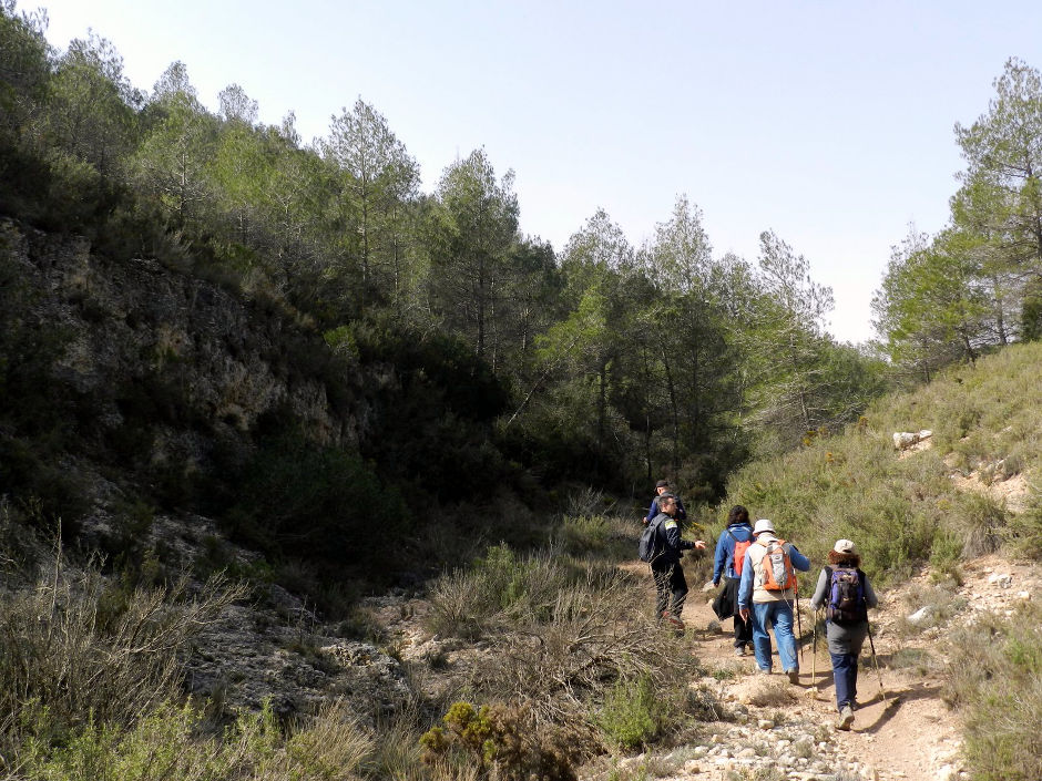 Les Rutes del Centre: Alberg de Rita – Font dels Gamellons - 21.2.16 1