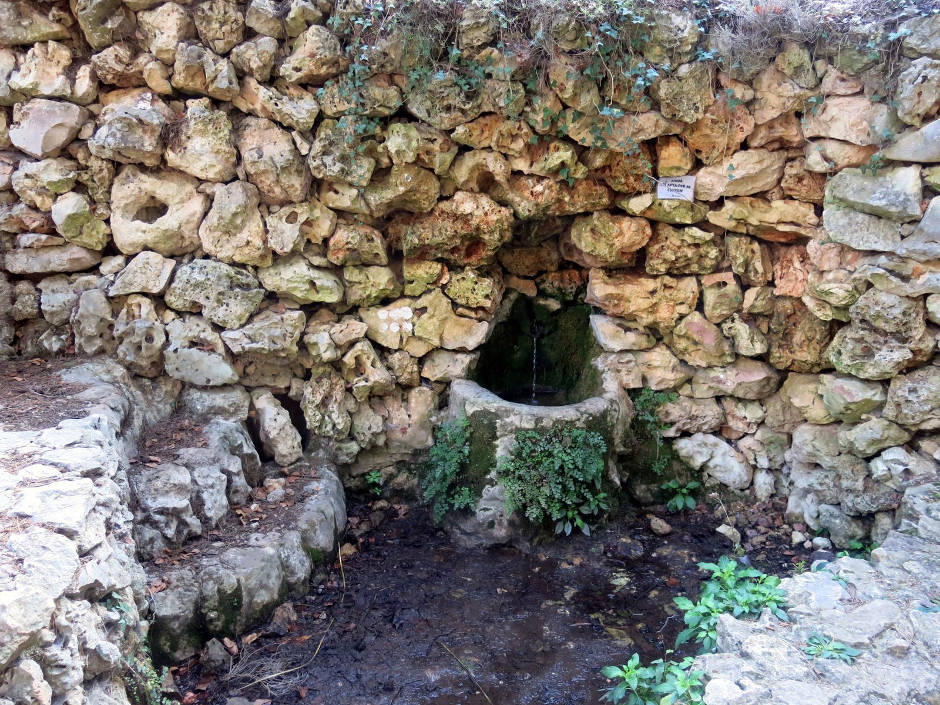 2 Font dels Gamellons Excursió Centre Cultural Castellut