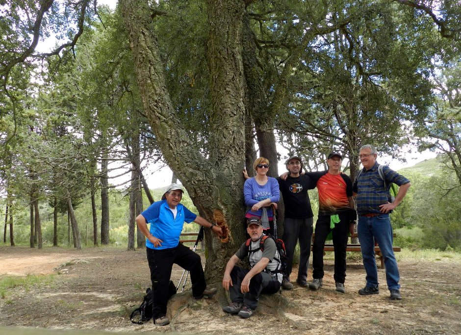 Les Rutes del Centre: El Surar de Pinet – Vall d’Albaida – 17.4.16 1