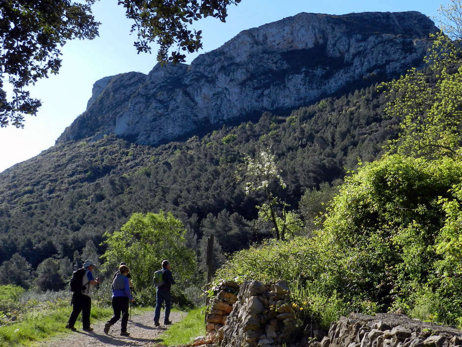 Les Rutes del Centre: El Surar de Pinet – Vall d’Albaida – 17.4.16 4 2 Surar de Pinet 2016