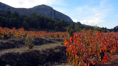 Les Rutes del Centre: La Moleta d’Aitana- Alcoleja (El Comtat) – 13.11.16 3 3-aitana-alcoleja
