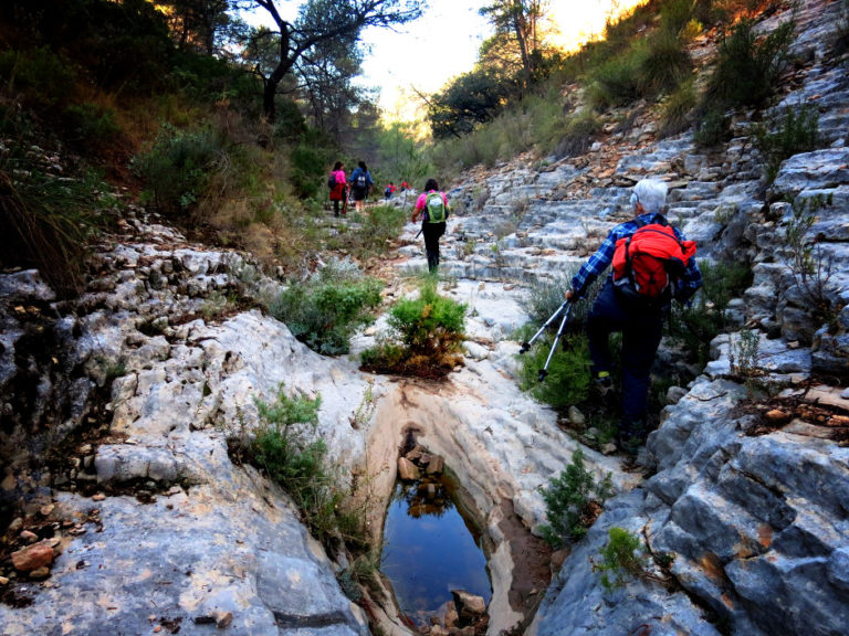 Calendari d’Excursions 1r trimestre de 2017