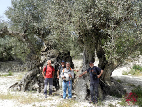Les Rutes del Centre: Serra d’Almudaina – Benimassot (El Comtat) – 22.4.18 2