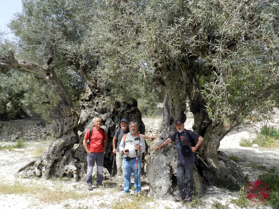 Les Rutes del Centre: Serra d’Almudaina – Benimassot (El Comtat) – 22.4.18 1