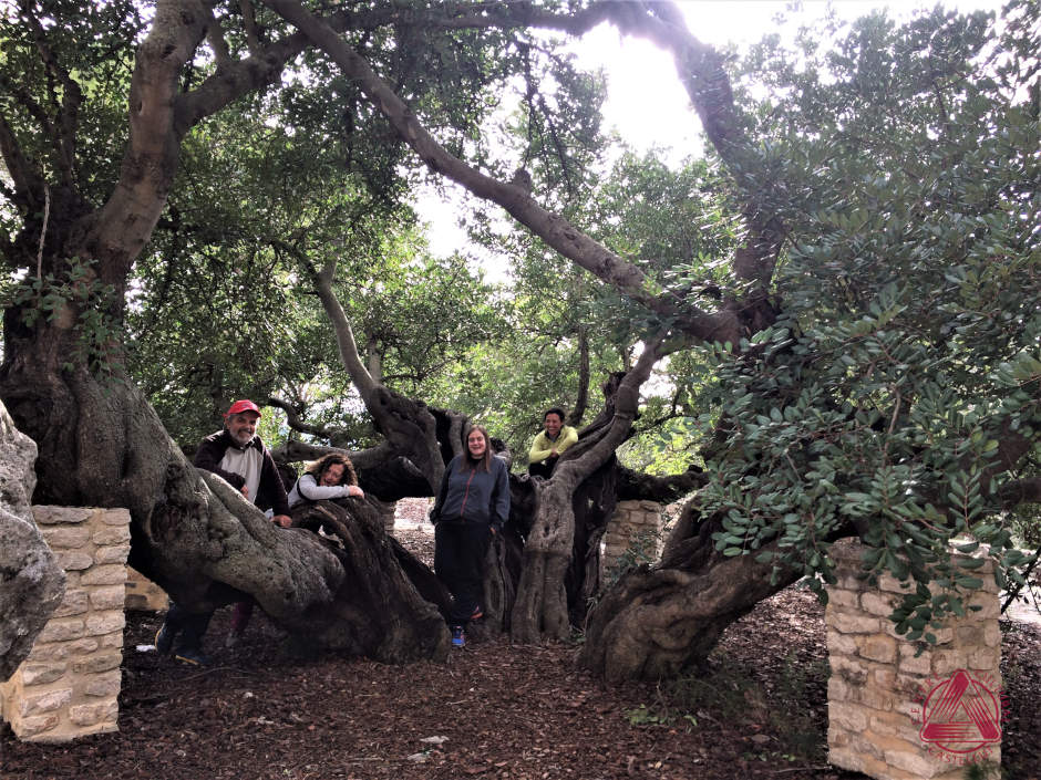 Les Rutes del Centre: Serra de Quatretonda – Vall d’Albaida 4-3-2018 4