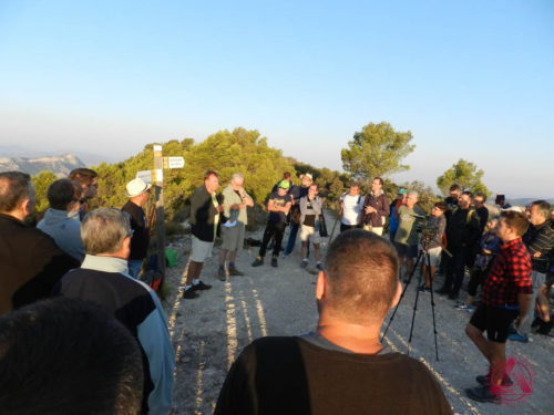 L’Alba de Valor, Castalla 22 d’agost de 2018 4 L’Alba de Valor, Castalla 22 d’agost de 2018 4