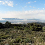 Les Rutes del Centre: Safranera-Menejador – Alcoi- 14.10.18 4