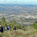 Les Rutes del Centre: Castells de Rugat i la Barcella – La Vall d’Albaida 27.1.19 7