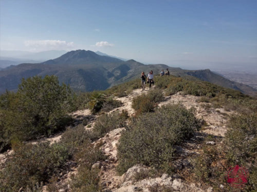 Les Rutes del Centre: Serra de la Cuta- Castellonet de la Conquesta (La Safor) 9.2.20 2