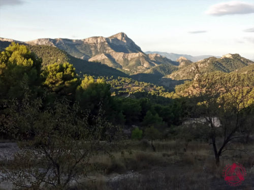 Les Rutes del Centre Xorret de Catí-Estret d’Agost-Rasos de Catí-Penya Foradada- 27.9.20 2