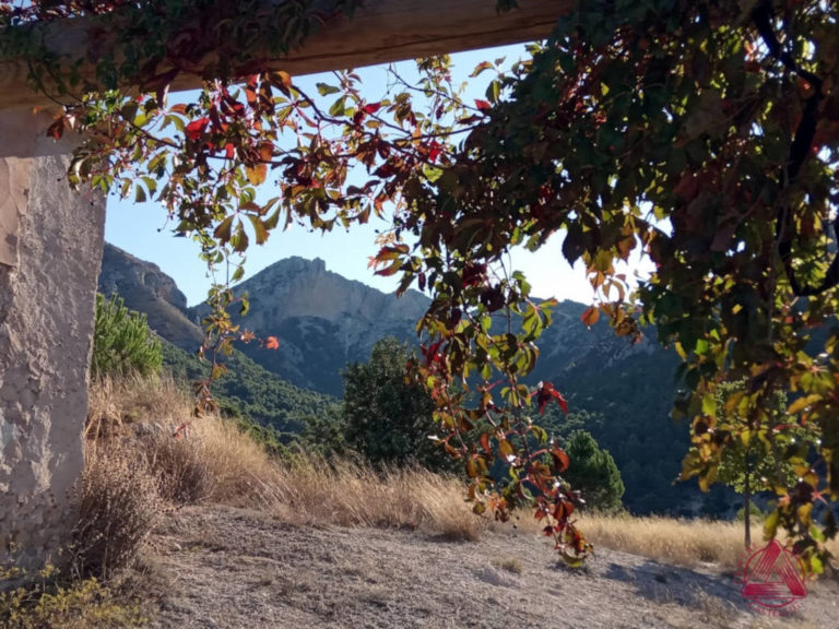 Ja podeu consultar el calendari d’excursions per al primer trimestre de 2021