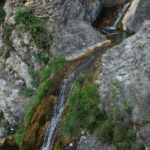 Les Rutes del Centre: Riu Grande (Canal de Navarrés) – 13.6.21 3 Les Rutes del Centre: Riu Grande (Canal de Navarrés) – 13.6.21 3