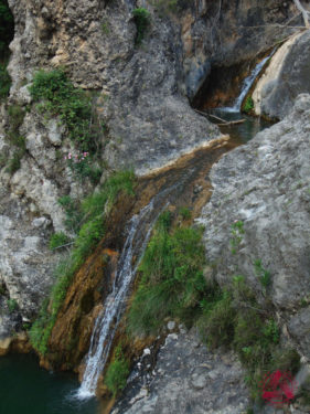 Les Rutes del Centre: Riu Grande (Canal de Navarrés) – 13.6.21 2 Les Rutes del Centre: Riu Grande (Canal de Navarrés) – 13.6.21 2