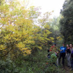 Les Rutes del Centre: Els Plans – Rentonar - Benifallim (Alcoià) 31.10.21 2