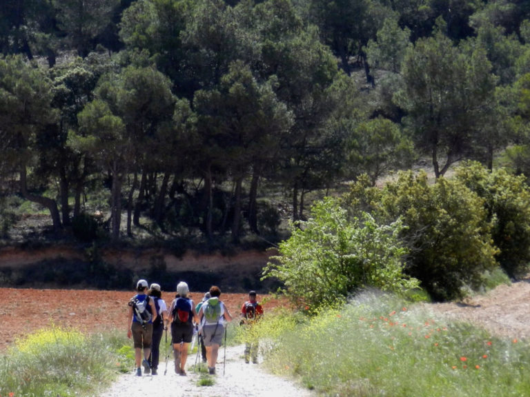 Rutes Centre Primer Trimestre 2022