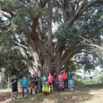 Les Rutes del Centre: Pels Masos de Mariola 2 Masos Mariola