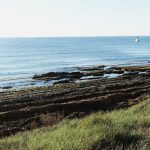 Les Rutes del Centre: Torrevella-Platja de la Sénia (Baix Segura) – 1.10.23 2 Torrevella 2023