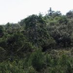 serra-carxe-barranc-saltaor-2025-11