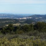 serra-onil-2025-9