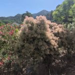 paratges-xativa-ruta-2025-12