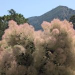 paratges-xativa-ruta-2025-13