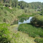 paratges-xativa-ruta-2025-2