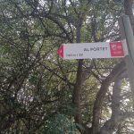 paratges-xativa-ruta-2025-8