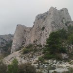 2025-10-05_10-49-20