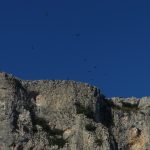 DSC05963