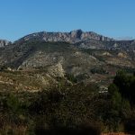 DSC05965