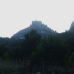 DSC05966