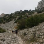 DSC05978