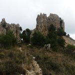 DSC05982