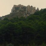 DSC06010
