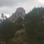 IMG_20251005_103730